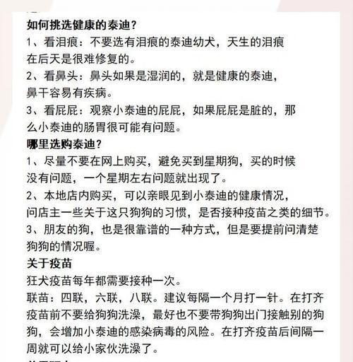 秋季饲养泰迪的注意事项（关爱宠物健康，合理照料泰迪的秋季饲养要点）