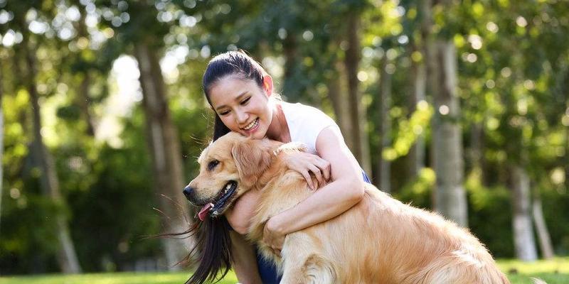 女孩子适合养什么大狗？（选择适合女孩子养的大狗品种）