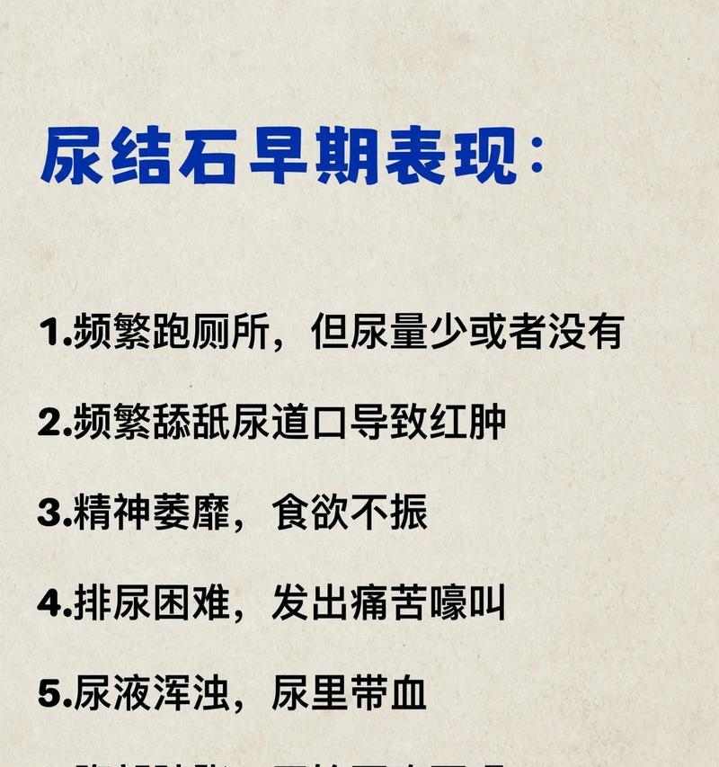 狗狗结石的症状及预防措施（深入了解狗狗结石的症状与预防方法）
