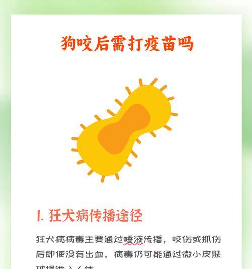 狗狗打疫苗后多久可以洗澡（疫苗接种后的洗澡时间和注意事项）