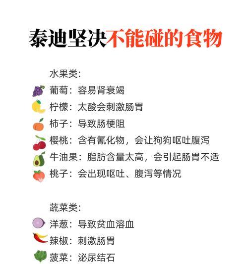 泰迪犬的饮食指南（探索泰迪犬的理想食物和饮水方式）