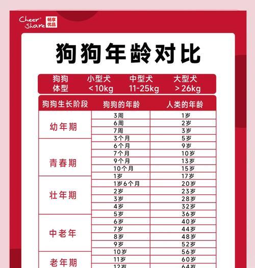狗狗的生产周期及繁衍周期（了解狗狗的生育特点和生命周期，为宠物养殖提供参考）