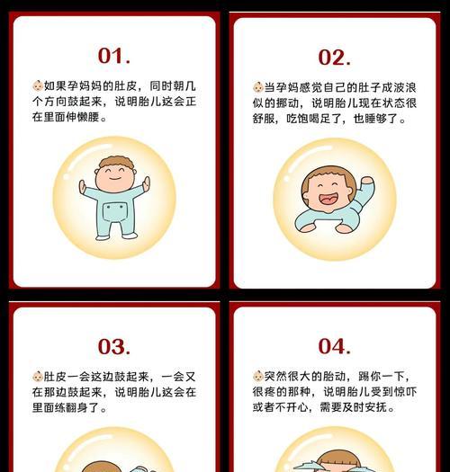 狗狗怀孕后多久能摸到胎动？（胎动触感及胚胎发育阶段）