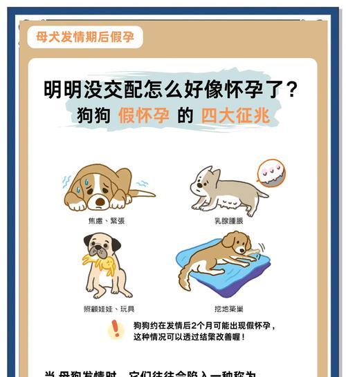 狗狗的怀孕期和产仔数量（探究狗狗怀孕期长短及每胎产仔数量的因素）