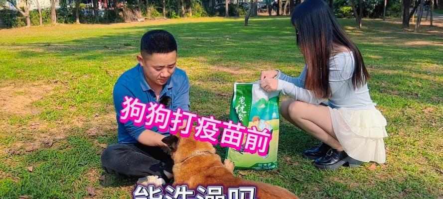 宠物狗的预防针和洗澡时间间隔（预防针与洗澡，健康宠物狗的护理关键）