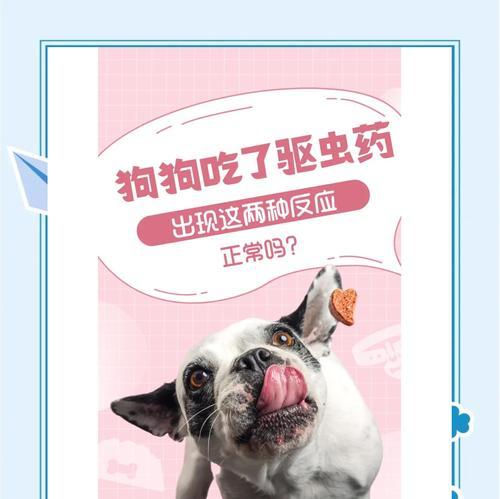 狗崽吃打虫药的频率及注意事项（狗崽多久吃一次打虫药？）