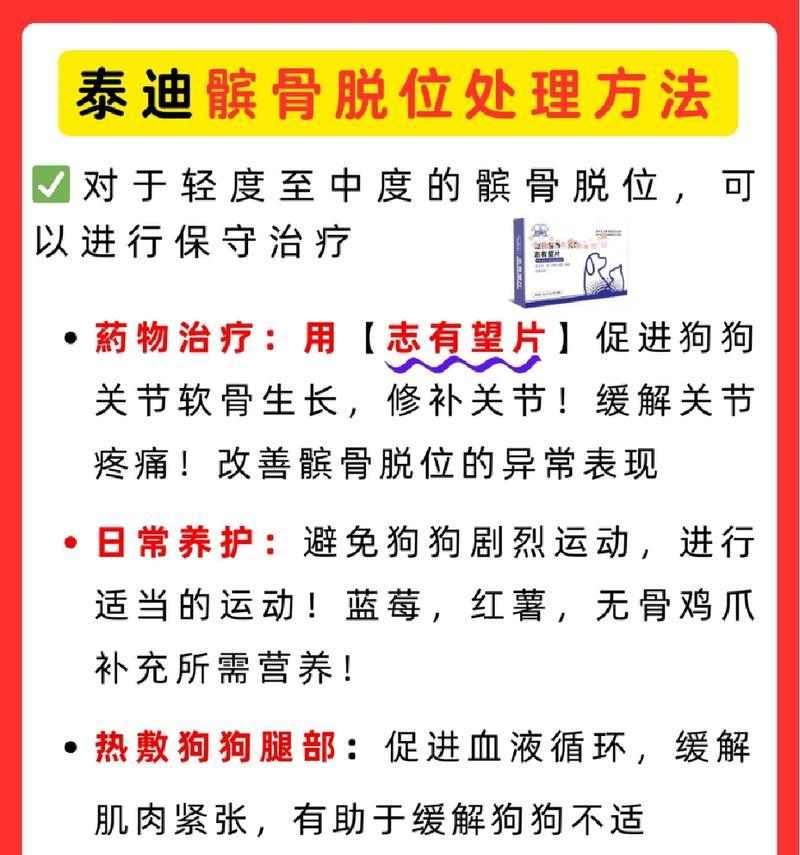 泰迪髌骨脱位（髌骨脱位对泰迪犬寿命的影响及预防措施）