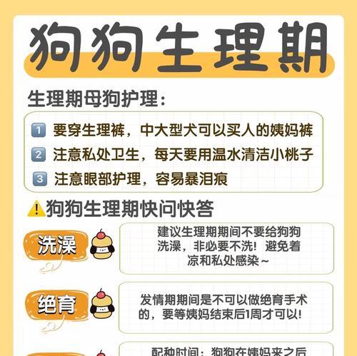 狗狗大姨妈周期及（了解狗狗大姨妈周期，让爱宠更健康）