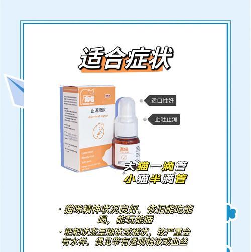 怀孕猫咪拉稀的原因及处理方法（观察猫咪精神状态，细心呵护怀孕宝贝）