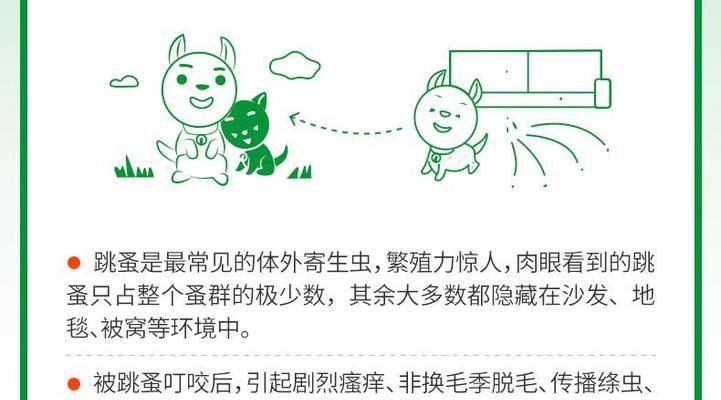 金毛犬驱虫计划（了解金毛犬的驱虫时机，保护宠物健康）