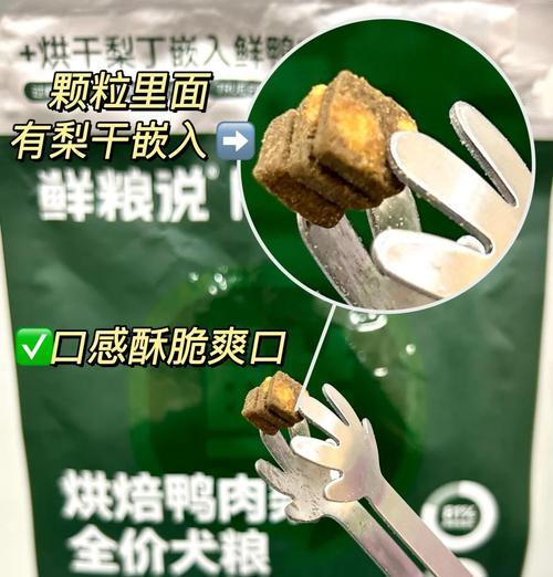 凉水泡狗粮的最佳时间（探究以狗粮用凉水泡多久才能软化的最佳方法）