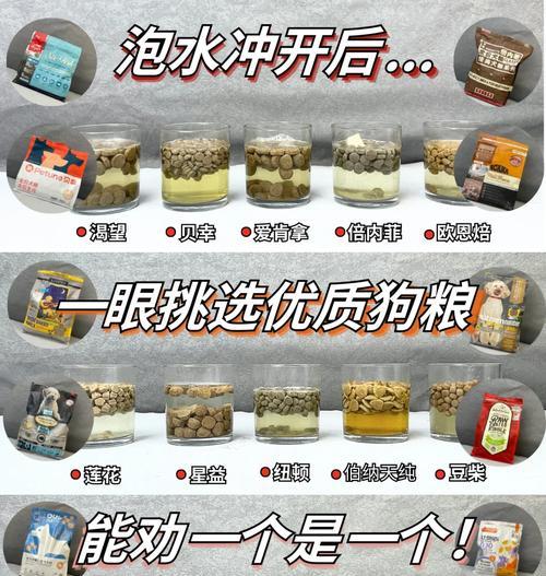 如何合理泡发德牧幼犬狗粮（德牧幼犬狗粮泡发的时间与方法）