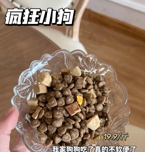 小狗何时可以以干狗粮为主食（幼犬成长需要的饮食转变时机及注意事项）