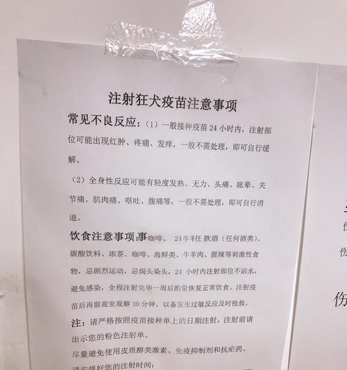 泰迪犬打完狂犬疫苗多久可以洗澡？（合理安排洗澡时间，确保泰迪犬的健康）