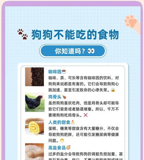 狗狗到陌生环境多久不吃饭？（探讨狗狗适应陌生环境后的饮食问题）