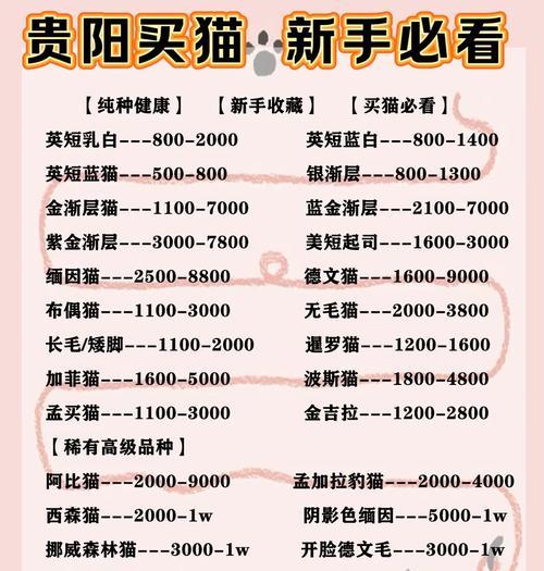 养猫知多少？猫咪花销揭秘（探秘养猫每月花费，了解猫咪的生活开销）