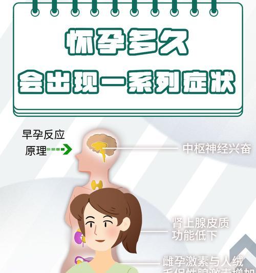 怀孕多久后会生？解开这个疑问（探究孕妇期待的生产时间，了解生育的过程）