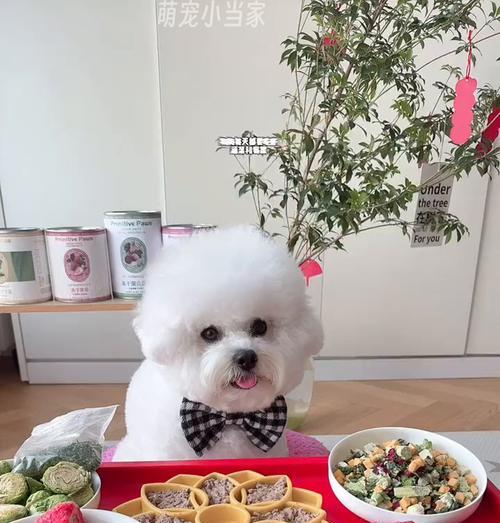 狗狗的健康饮食（了解狗狗喜欢的蔬果及其营养价值）