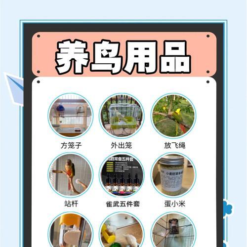 虎皮鹦鹉的繁殖期及繁殖时间（详解虎皮鹦鹉繁殖周期及配对行为）