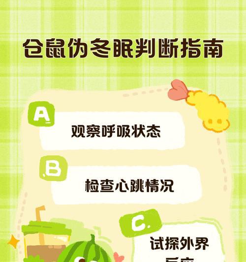 仓鼠伪冬眠的保暖时长及注意事项（探究仓鼠伪冬眠需要保持温暖的时间长度和注意事项）