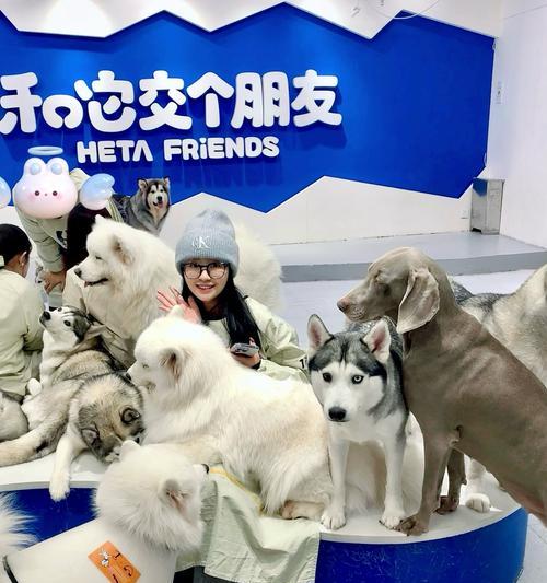 狗狗的定期洗澡频率（如何确定狗狗洗澡的最佳频率）