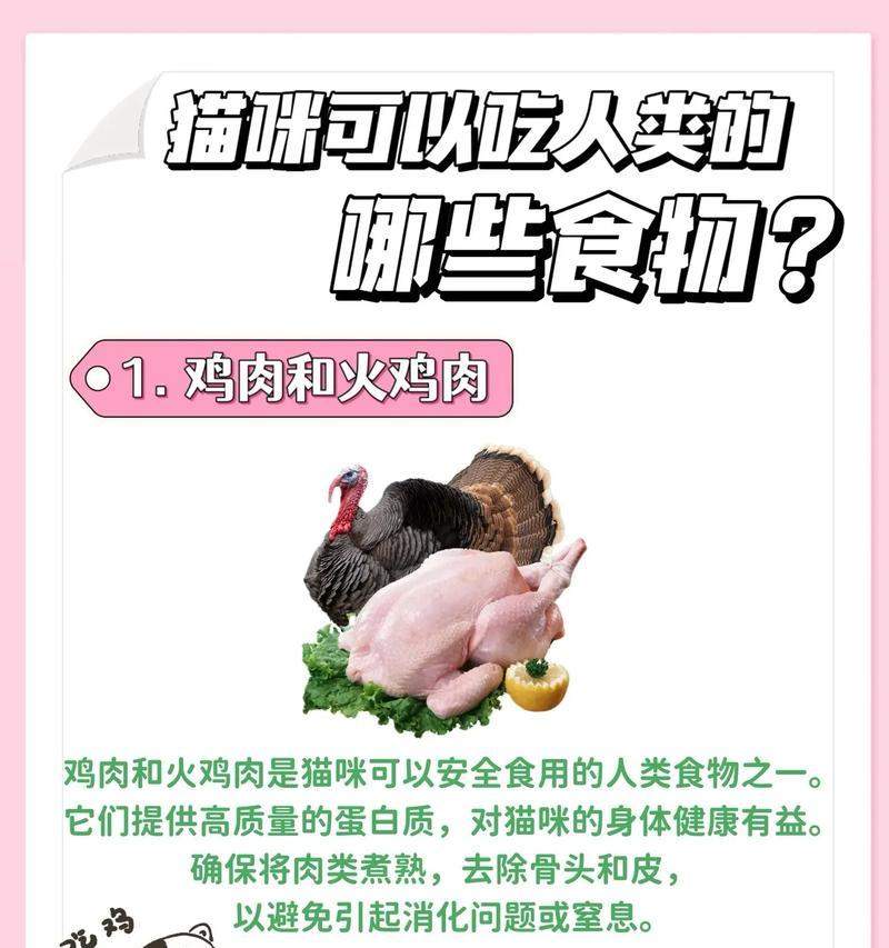 猫咪的饮食禁忌与药品安全（探讨猫咪可食用的人类食物及不能食用的药品，）