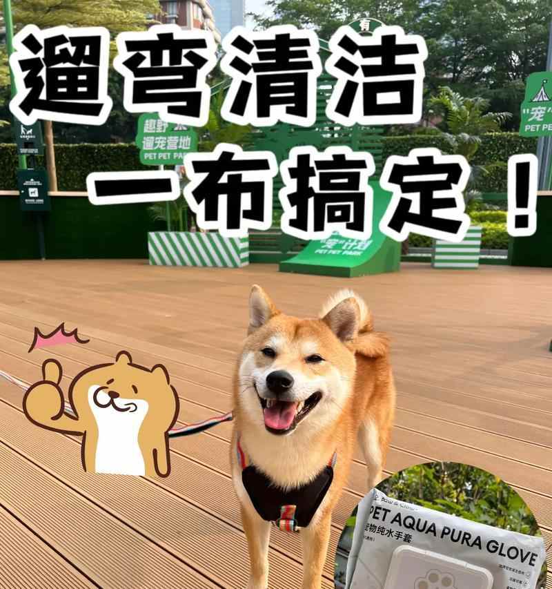 如何正确清洁狗狗屁股？（五步教你给宠物狗清洁屁股）