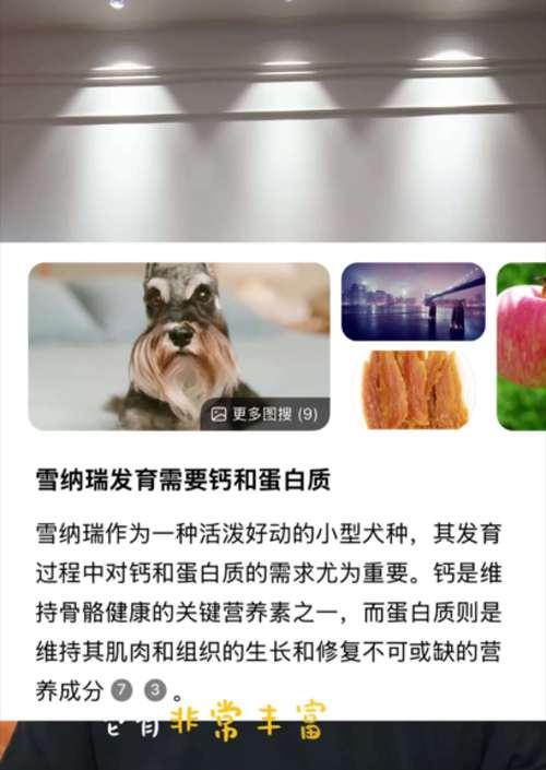 狗狗生长发育期如何保证不缺钙？（缺钙对狗狗生长发育的影响及预防方法）