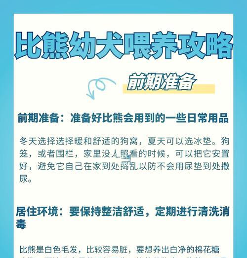 比熊犬驱虫频率及注意事项（保护宠物健康，正确掌握比熊犬驱虫的时间和方式）
