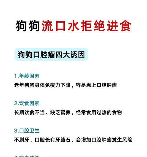 狗狗球虫病后禁食多久？（详解球虫病对狗狗的影响以及禁食期的重要性）