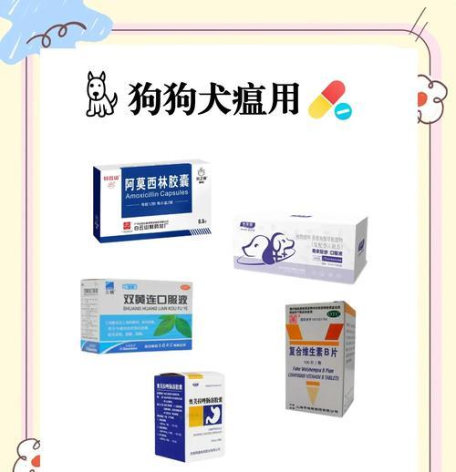 狗狗感冒应该如何治疗？（细小犬瘟是否是感冒的症状？应该如何辨别？）