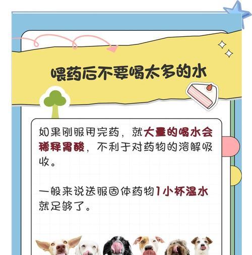 急救狗狗中毒（保护你的爱宠，紧急救援指南）