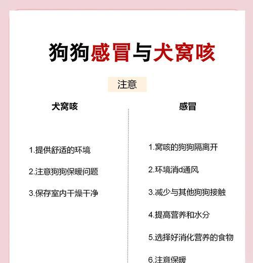 狗狗犬窝咳的康复时间及关键因素（了解康复时间，让狗狗尽早康复）