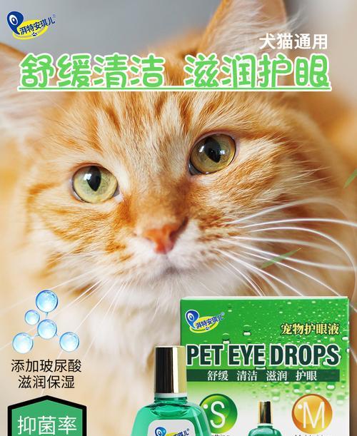 狗狗角膜炎的治疗方法（口服药物是主要治疗方案之一）