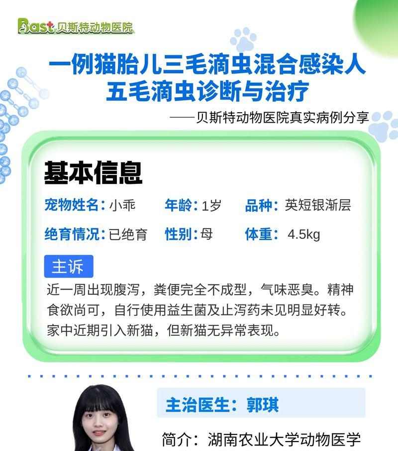 猫咪拉稀多久会好？（探讨猫咪拉稀的持续时间和治疗方法）