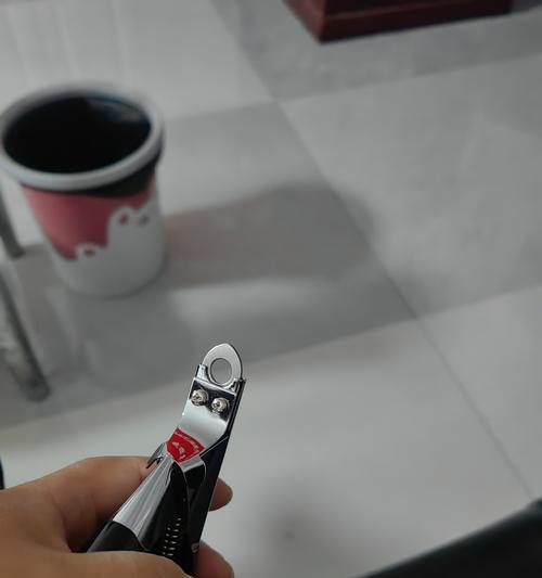 狗狗的指甲修剪频率是多久一次？（让你了解如何确定狗狗的指甲修剪时间）