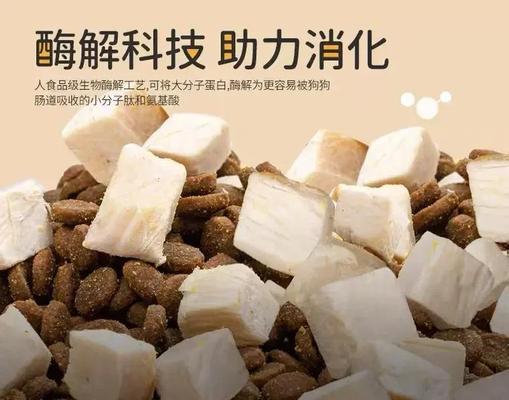 狗粮中蛋白质的重要性及优质蛋白质（探讨高蛋白狗粮对犬类健康的益处）
