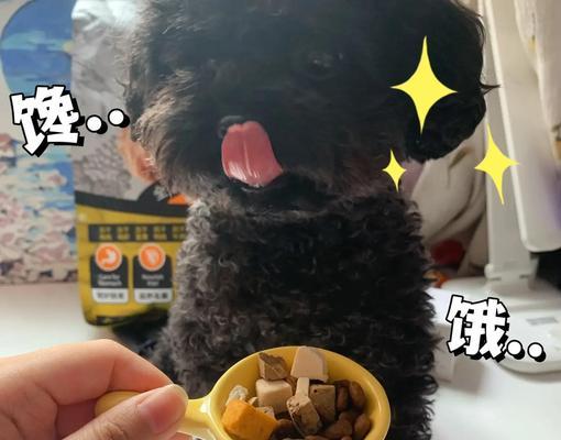 泰迪狗狗的月度狗粮摄入量计算方法及喂养注意事项（了解泰迪狗狗不同生长阶段的营养需求）