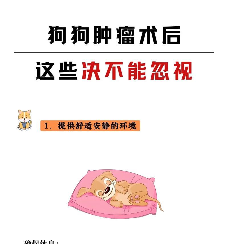 狗手术后的康复时间及注意事项（解析狗手术后恢复的时间长度及需要注意的事项）
