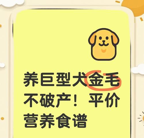 金毛犬的饮食标准与肥胖判断（科学饮食，守护金毛健康）