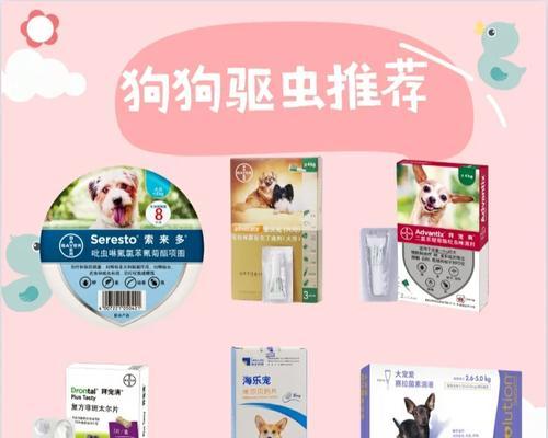 狗伤口发炎怎么办？药物治疗和护理的是什么？（了解狗伤口发炎的原因和症状，合理使用药物进行治疗。）