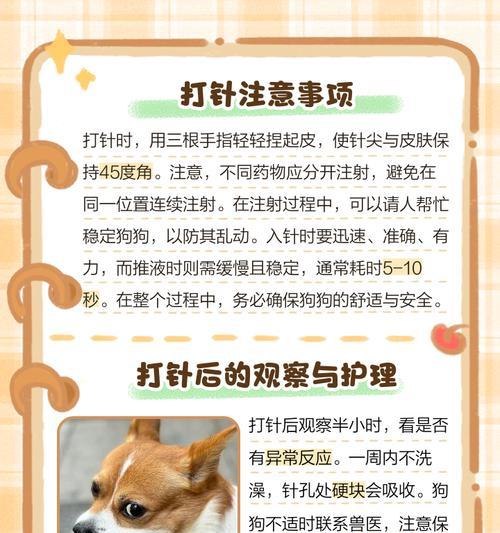 狗狗打疫苗的成本与重要性（狗狗的健康需重视，疫苗是必要的保护措施）