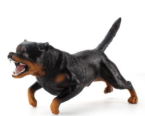 如何正确洗洁恶霸犬的耳朵（每月一次，让你的宠物恶霸犬远离耳部问题）