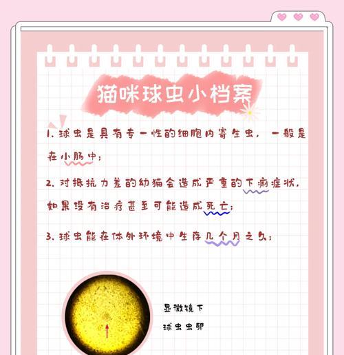 球虫病（揭示球虫病的潜伏期长短以及相关症状表现）