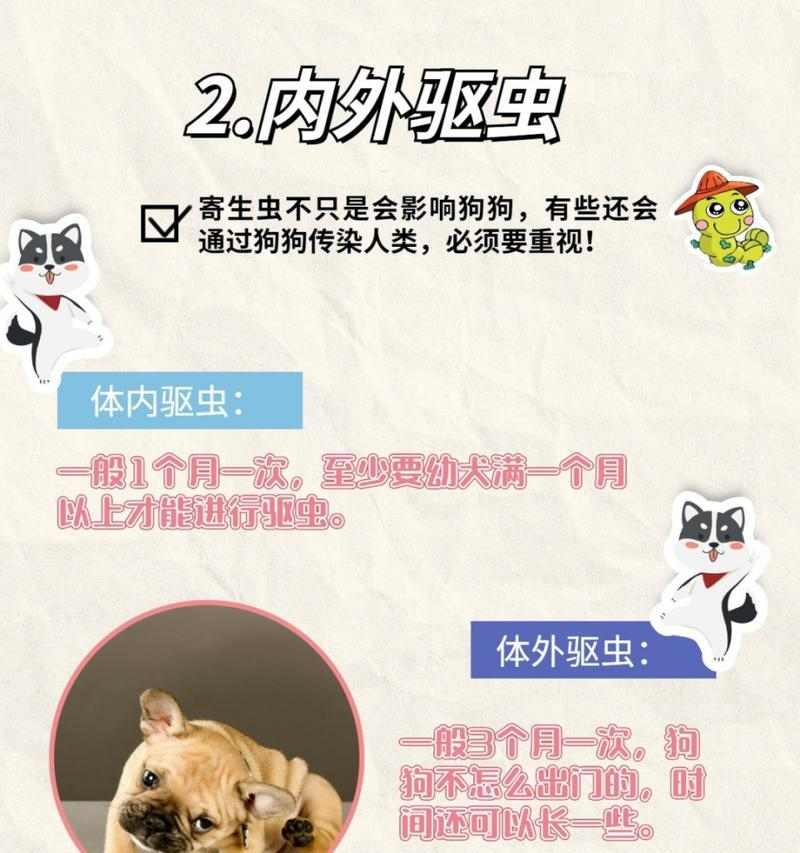 幼犬疫苗接种时间及分类解析（了解狗狗疫苗分类，避免被坑）