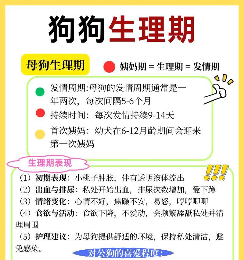 狗狗剖腹产后多久可以怀孕？（了解狗狗剖腹产后的繁殖恢复时间）
