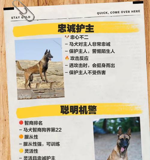 以马犬的咆哮声（探寻以马犬声音背后的谜团）