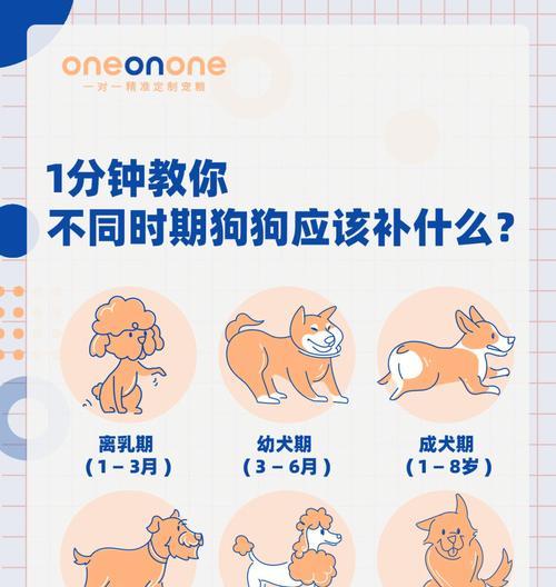 狗狗是否能喝牛奶？（探讨狗狗对牛奶的消化能力及相关健康问题）