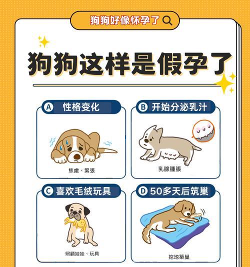 母狗生完小狗多久能参加CKU比赛？（什么时候开始训练是关键）