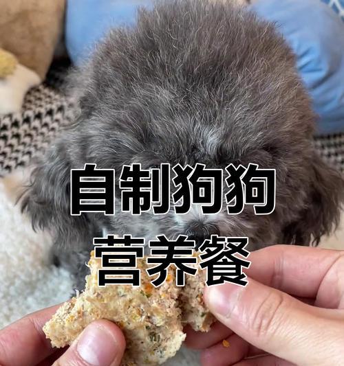 自制狗粮的保存时间和注意事项（自制狗粮的保存期限及存储要点）